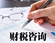 財(cái)稅咨詢(xún)